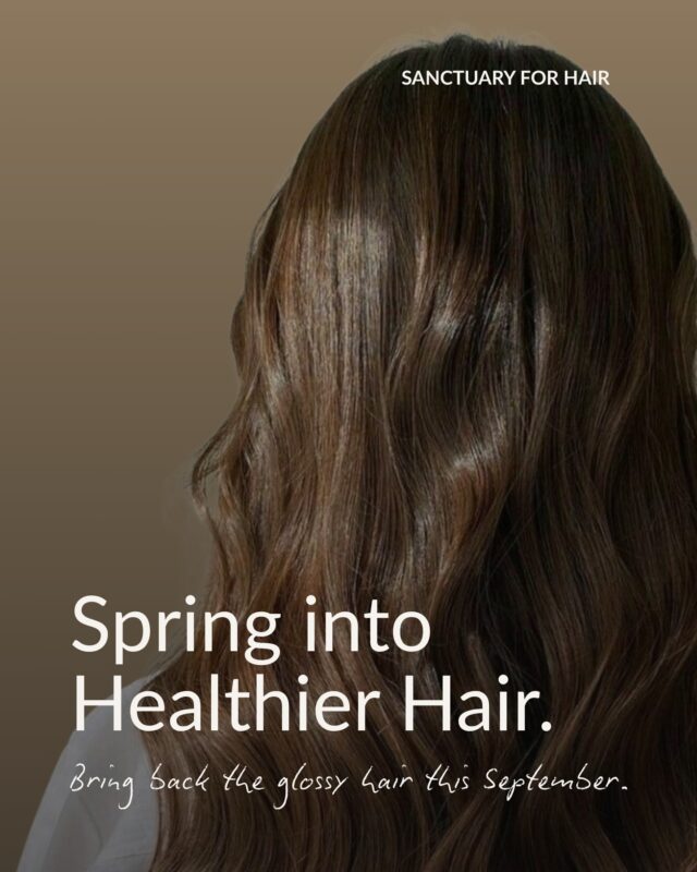 Spring into healthier hair this Spring 🌱💇‍♀️

📍 Castle Towers, Castle Hill

#CastleHillHairdresser #hairgloss #SanctuaryForHair #HillsDistrictHair #LuxuryHairSalon